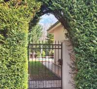 Családi ház kapuval ellátott sövénye Komáromban, a kertbe vezet.