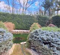 Családi ház Komáromban, kerti tóval és díszcserjékkel a kertben.