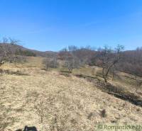 Kopasz kertek Újbánya környékén, csupasz fákkal és kék éggel.