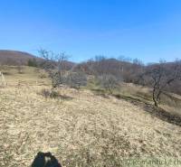 Dombos táj Új Bányánál, ritka fákkal és kék éggel.