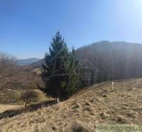 Fák és dombok vidéke Nová Baňa környékén a kertekben.