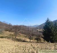 Természetes táj Nová Baňa környékén fákkal és dombokkal a Záhradyn.