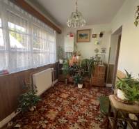 Egy szoba családi házban sok növénnyel, szőnyeggel és nagy ablakkal csipkefüggönnyel.