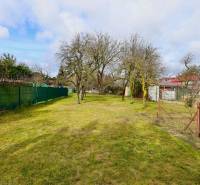 Családi ház kertje a Kalinčiakova utcában, Michalovciban, gyep és fákkal.