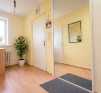 Világos előszoba fa mintázatú padlóval, tükörrel és szobanövényekkel egy kétszobás lakásban.