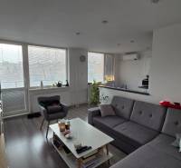 A háromszobás lakás nappalija kanapéval, dohányzóasztallal és fa dekorációjú padlóval.