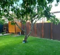 Kertek Dolné Krškany-ban, Nyitra, gyeppel, fával, kis faházzal és kerítéssel.