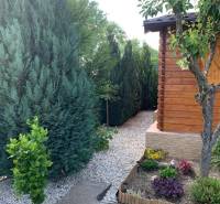 Kertek Alsókrškánban, Nyitra, gondozott tűlevelűekkel és egy fából készült kerti házzal.