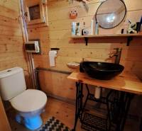 Fa belső tér fürdőszobával, tükörrel, polccal és mosdóval a kertekben.