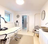 Családi ház belső tere masszázsággyal, mosdókagylóval, tükörrel és székekkel.