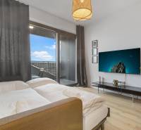 Egyszobás lakás ággyal, televízióval, növénnyel és fa dekorációjú padlóval.