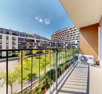 1 izbovy byt na prenajom_novostavba_slnecnice zona Mesto