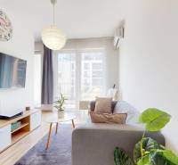 1 izbovy byt na prenajom_novostavba_slnecnice zona Mesto