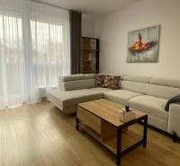 Nappali kanapéval, fa dekoros padlóval és bútorokkal egy kétszobás lakásban.