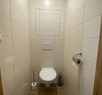 WC fa dekor csempével és padlóval egy kétszobás lakásban.