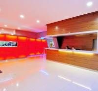 Világos padlójú és dekoratív fa stílusú recepcióval rendelkező irodák.