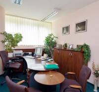 Iroda asztalokkal, székekkel, számítógéppel és növényekkel, szőnyegmintás padlóval.