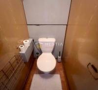 Háromszobás lakás WC-je fa dekorációval és tárolási megoldásokkal.