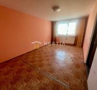 Szoba fa dekorációjú padlóval és pasztell falakkal egy háromszobás lakásban.