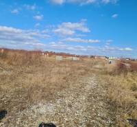 Lakóterületek Érsekújváron természetes növényzettel és tiszta égbolttal.