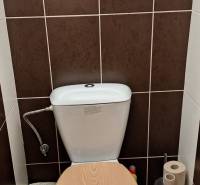 WC fa hatású padlóval egy 4 szobás lakásban.