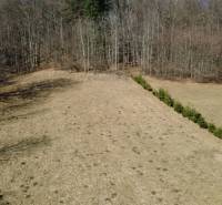 Rekreációs telkek Kľakban füves területtel, fenyőfákkal szegélyezve, az erdő közelében.