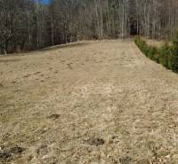 Rekreációs telkek Kľak közelében füves területtel és tűlevelű fákkal az erdő szélén.