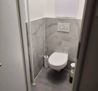 Toalett csempével és függesztett WC-vel egy 2 szobás lakásban.