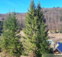 Mezőgazdasági és erdőterületek Hroncon, erdők és házak tetői.