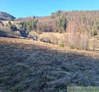 A Hronec környéki erdők és rétek ideális lakóterületeket kínálnak.