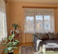 Egy szoba családi házban kanapéval, növénnyel, szőnyeggel és könyvespolccal.