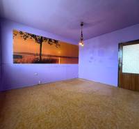 Lila falak egy kétszobás lakásban, fa dekor padlóval és természetes fotótapétával.