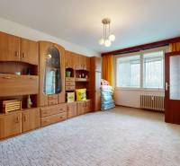 Nappali egy kétszobás lakásban, sok fa tárolóbútorral és nagy ablakkal.