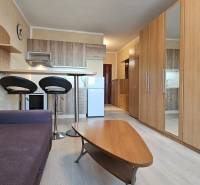 Garzonlakás kanapéval, konyhasarokkal, fa mintázatú padlóval és beépített szekrényekkel.