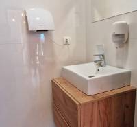 Fürdőszoba mosdóval és fa dekoros szekrénnyel a vendéglátóipari helyiségekben.