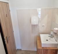 Fürdőszoba mosdóval és fa dekorációjú padlóval a gasztronómiai terekben.