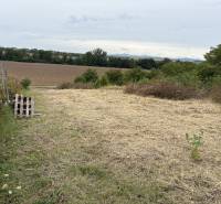 A Zvoncsini kertek kilátást nyújtanak a Zvoncsin környéki rétekre és mezőkre.