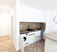 Modern berendezésű konyha fa dekor padlóval egy üdülő apartmanban.