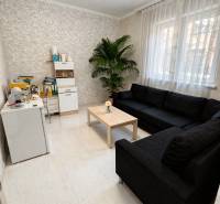 Kanapé, dohányzóasztal és növény a gyártóhelyiség belső terében, fa dekorációjú padlóval.