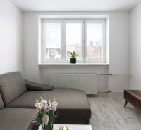 Nappali egy kétszobás lakásban kanapéval, dohányzóasztallal és fa dekorációjú padlóval.