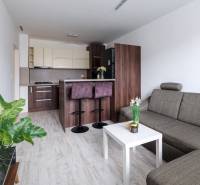 Nappali konyhával, kanapéval, bárpulttal és fa dekoros padlóval egy kétszobás lakásban.