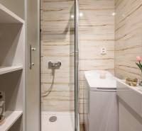 Fürdőszoba virágokkal, zuhanyzóval, mosdóval és tükörrel egy kétszobás lakásban.