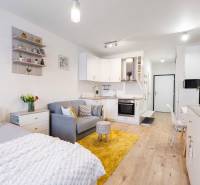 Világos belső tér egy egyszobás lakásban konyhával, ággyal és fa dekorációjú padlóval.