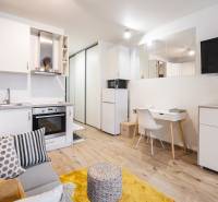 Nappali egy egyszobás lakásban konyhabútorral, fehér bútorokkal és fa dekorációjú padlóval.