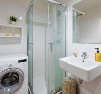 Fürdőszoba mosógéppel, zuhanyzóval és mosdóval egy egyszobás lakásban.