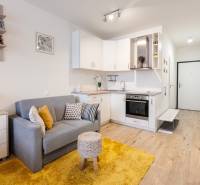 Kompakt egy szobás lakás konyhasarokkal, szürke kanapéval és fa mintázatú padlóval.