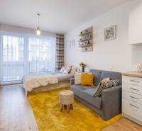 Világos 1 szobás lakás kanapéval, ággyal és fa dekorációjú padlóval.