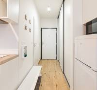 Keskeny folyosó konyhapulttal, mikrohullámú sütővel és fa dekorációjú padlóval egy egyszobás lakásban.