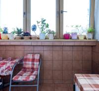 Berendezett 4 szobás lakás virágokkal a párkányon és asztallal, szőnyeggel az erkélyen.