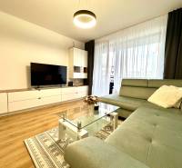 Nappali egy kétszobás lakásban kanapéval, televízióval és fa dekoros padlóval.